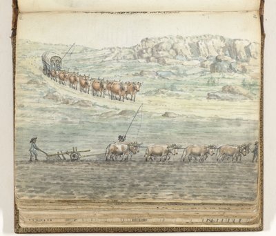 Ossenspan voor huifwagen en voor ploeg door Jan Brandes