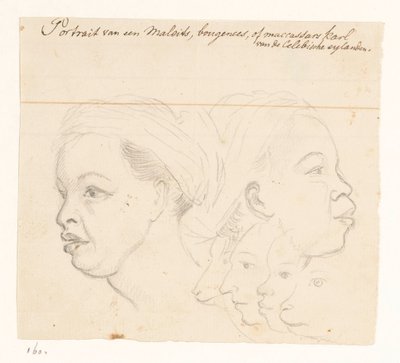 Portret van een Boeginees Portrait van een Maleits, bougenees, of maccassars karl van de Celebische eylanden. door Jan Brandes