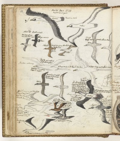 Zeevogels door Jan Brandes