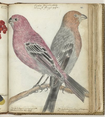 Zweedse vogels door Jan Brandes