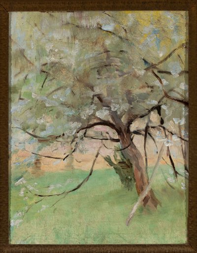  door Jan Ciągliński