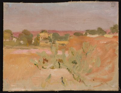 Rosa Landschaft mit Kakteen. Aus einer Reise nach Indien door Jan Ciągliński