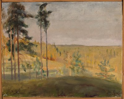  door Jan Ciągliński