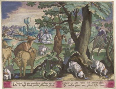 Hertenjacht met honden door Jan Collaert