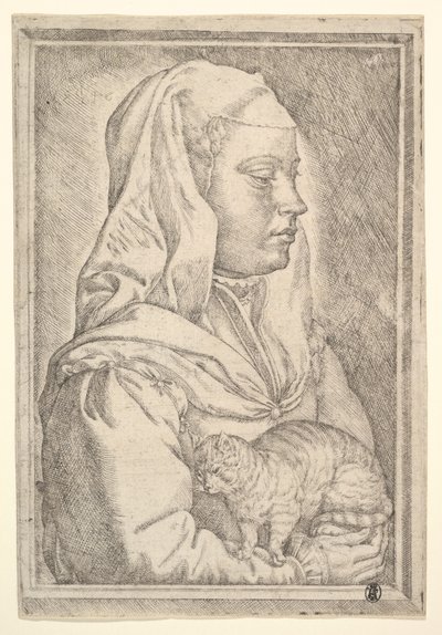 Meisje met een kat, 1546 door Jan Cornelisz Vermeyen