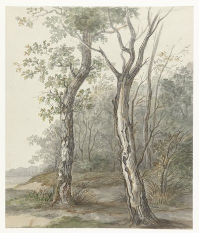 Boslandschap door Jan Dasveldt