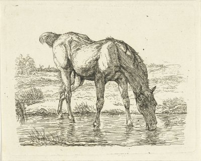 Drinkend paard door Jan Dasveldt