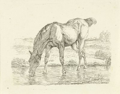Drinkend paard door Jan Dasveldt