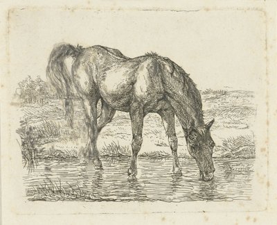 Drinkend paard door Jan Dasveldt