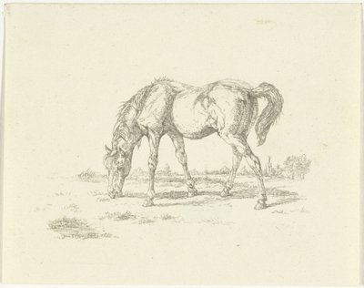Grazend paard naar rechts door Jan Dasveldt