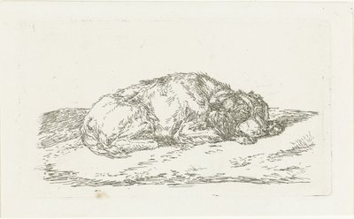 Slapende hond met kop rustend op voorpoten door Jan Dasveldt