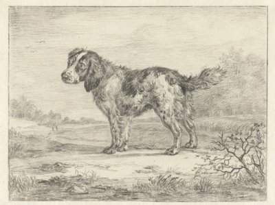 Spaniel staande in een landschap door Jan Dasveldt