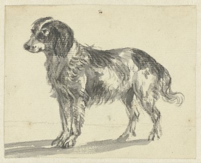 Staande hond door Jan Dasveldt