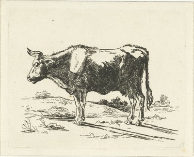 Staande koe door Jan Dasveldt