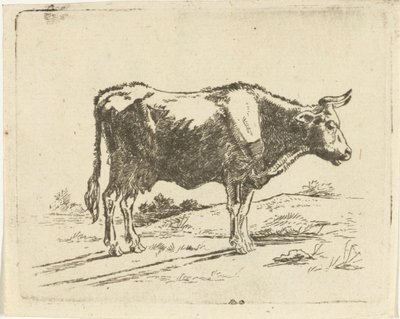 Staande koe door Jan Dasveldt