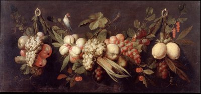 Stilleven met fruit en een vogel door Jan Frans van Son
