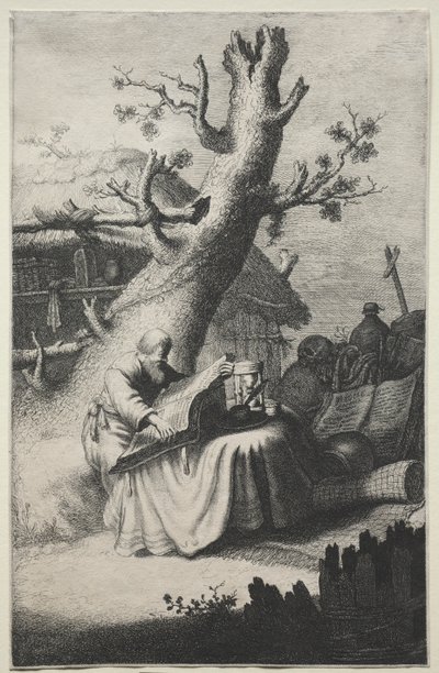 St. Hiëronymus door Jan Georg van Vliet