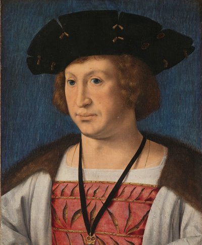 Floris van Egmond (1469-1539), Graaf van Buren en Leerdam door Jan Gossart