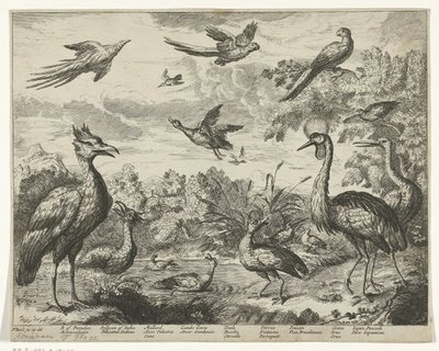 Verschillende vogels in een landschap door Jan Griffier (I) (copy after)