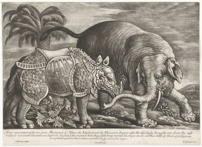 Olifant en neushoorn door Jan Griffier (I)