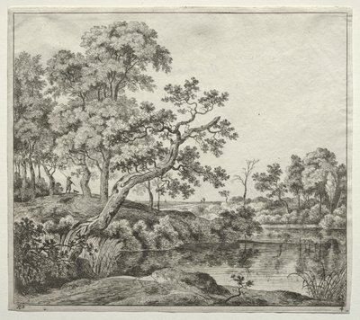 De gebogen boom door Jan Hackaert