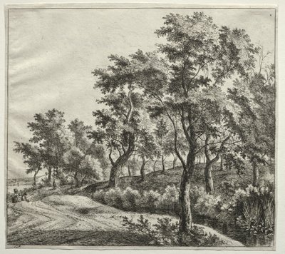 De smalle stroom door Jan Hackaert