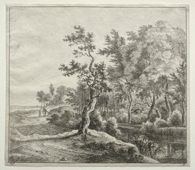 De Serpentijnweg door Jan Hackaert