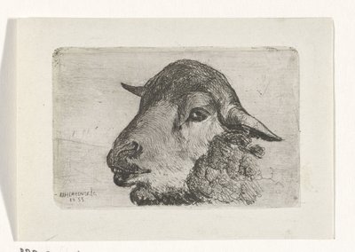Schapenkop door Jan Heppener