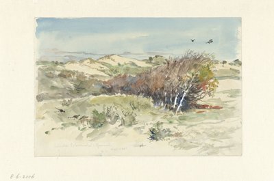 Duinlandschap tussen Bloemendaal en IJmuiden door Jan Hoynck van Papendrecht