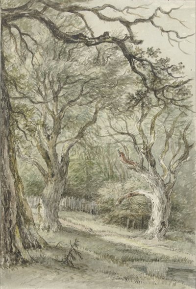 Bosgezicht door Jan Hulswit