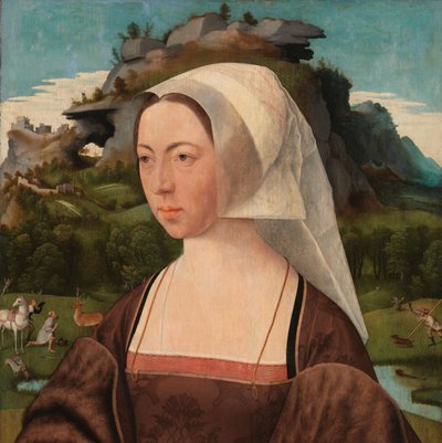 Portret van een onbekende vrouw door Jan Jansz Mostaert