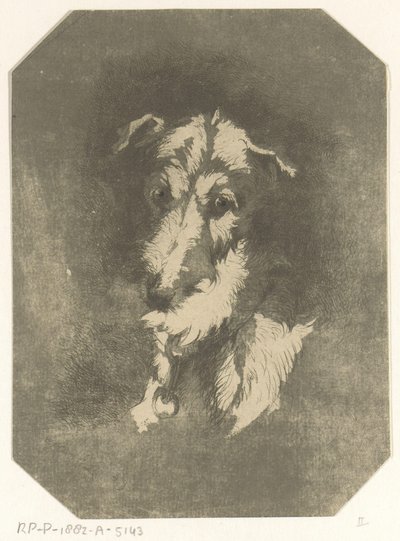 Kop van hazewindhond door Jan Karel Jacob de Jonge