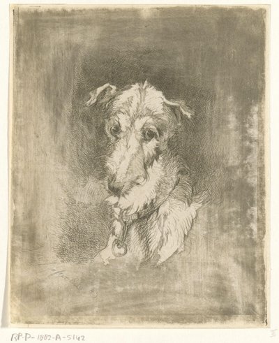 Kop van hazewindhond door Jan Karel Jacob de Jonge