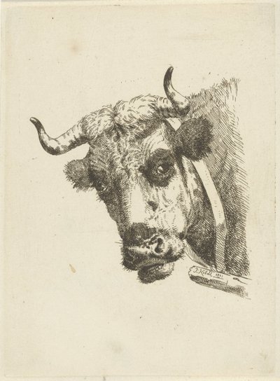 Koeienkop door Jan Kobell (II)