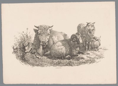 Koe, ram en twee schapen door Jan Kobell (III)