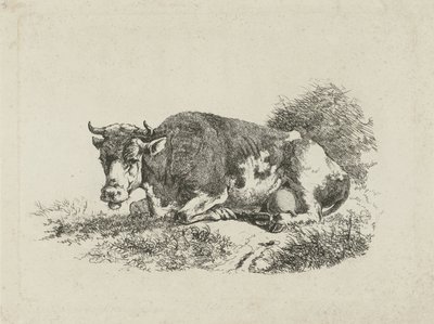 Liggende koe door Jan Kobell (III)