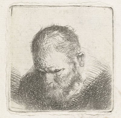 Man met baard door Jan Lievens (possibly)
