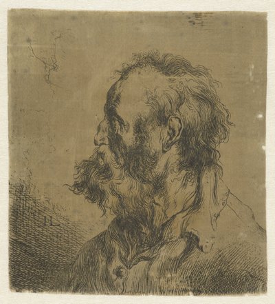 Borstbeeld van een oude man met baard door Jan Lievens