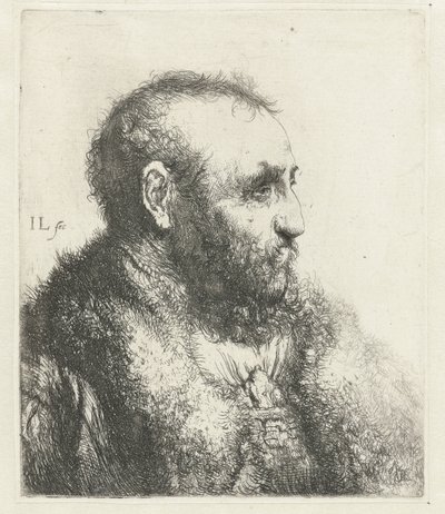 Borstbeeld van een oude man met bontjas door Jan Lievens