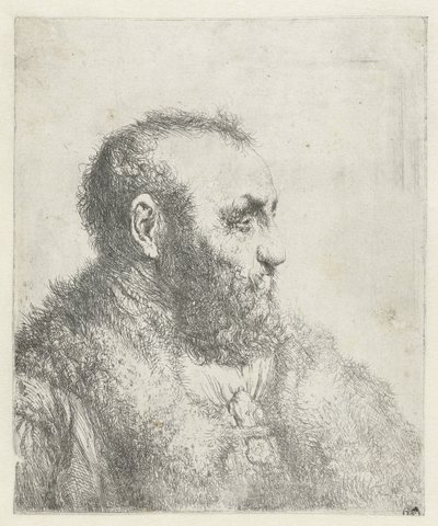 Borstbeeld van een oude man met bontjas door Jan Lievens