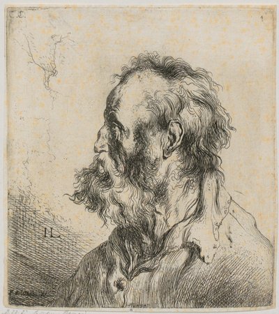  door Jan Lievens
