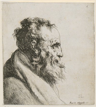  door Jan Lievens