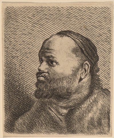 Buste van een Man met Dikke Lippen door Jan Lievens