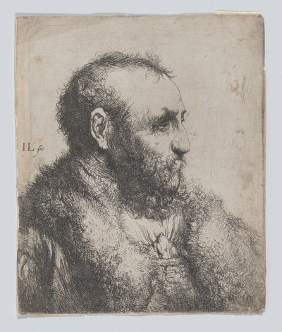 Buste van een oude man met bontkraag door Jan Lievens