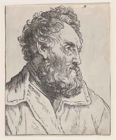 Hoofd van een Man, 17e eeuw door Jan Lievens