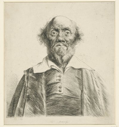 Portret van een oude man door Jan Lievens