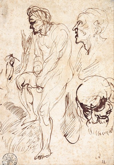 Studies na het model door Jan Lievens