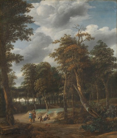 Bosweg door Jan Looten