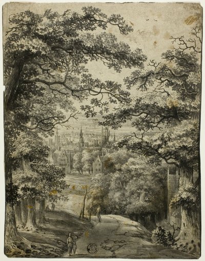 Uitzicht op de stad vanaf de weg op de heuvel door Jan Looten