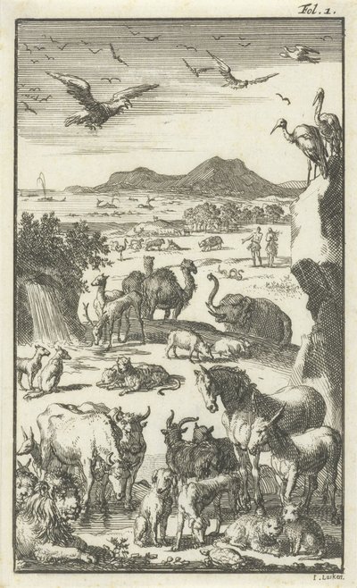 De schepping door Jan Luyken